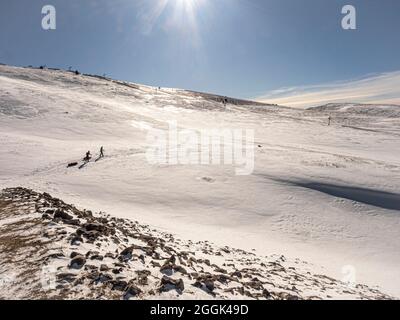 Ski avec luge de pâte à papier à travers la réserve naturelle de la Réserve naturelle des hauts plateaux du Vercors Banque D'Images