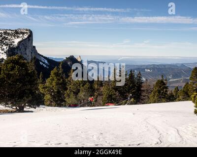 Ski avec luge de pâte à papier à travers la réserve naturelle de la Réserve naturelle des hauts plateaux du Vercors Banque D'Images