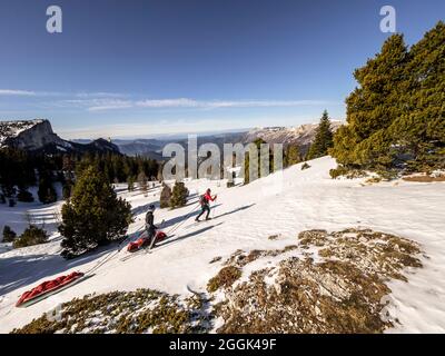 Ski avec luge de pâte à papier à travers la réserve naturelle de la Réserve naturelle des hauts plateaux du Vercors Banque D'Images