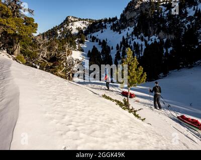 Ski avec luge de pâte à papier à travers la réserve naturelle de la Réserve naturelle des hauts plateaux du Vercors Banque D'Images