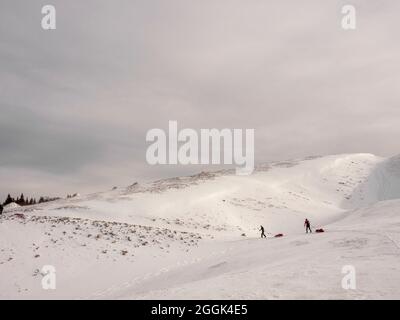 Deux skieurs lors d'une visite de ski avec des traîneaux de pulka à travers la réserve naturelle de la Réserve naturelle des hauts plateaux du Vercors, ascension au Col du Rousset Banque D'Images