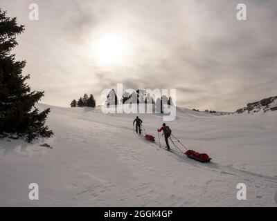 Deux skieurs lors d'une visite de ski avec des traîneaux de pulka à travers la réserve naturelle de la Réserve naturelle des hauts plateaux du Vercors, ascension au Col du Rousset Banque D'Images