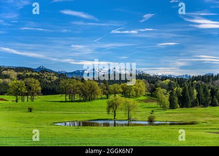 Allemagne, Bavière, haute-Bavière, Pfaffenwinkel, Obersöchering, Paysage de printemps près de Habaching contre Estergebirge Banque D'Images