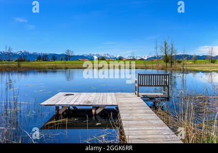 Allemagne, Bavière, haute-Bavière, Pfaffenwinkel, Obersöchering, Söcheringer Weiher à Eckenbichl contre la chaîne alpine Banque D'Images