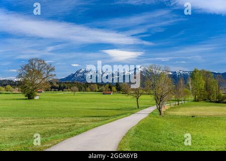 Allemagne, Bavière, haute-Bavière, Pfaffenwinkel, Obersöchering, Paysage de printemps contre les contreforts des Alpes avec Herzogstand et Heimgarten Banque D'Images