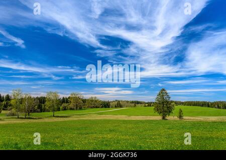 Allemagne, Bavière, haute-Bavière, Pfaffenwinkel, Habach, Paysage de printemps près de Reinthal Banque D'Images