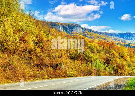 Paysage d'automne d'une gorge de montagne couverte d'une forêt dense Banque D'Images