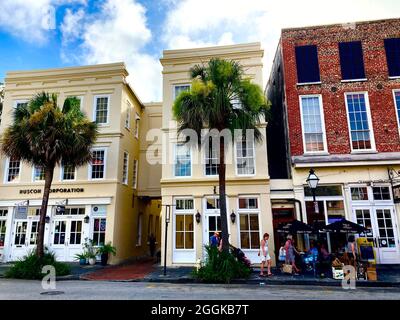 Charleston, Caroline du Sud. Maisons de l'époque coloniale bien entretenues avec des palmettos en face. Banque D'Images