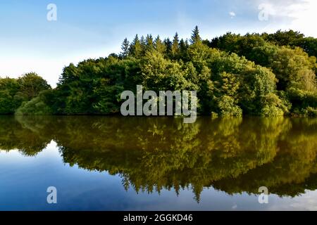 Réflexions d'arbres sur le réservoir de Ryburn. Banque D'Images