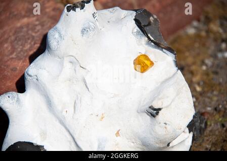 Allemagne, Mecklembourg-Poméranie occidentale, greaves, ambre sur la plage de la côte abrupte, île de Hiddensee, Mer Baltique Banque D'Images