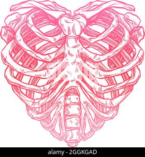 Illustration de la cage thoracique en forme de coeur squelette Illustration de Vecteur