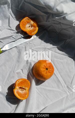 Orange Still Life Photography Banque D'Images