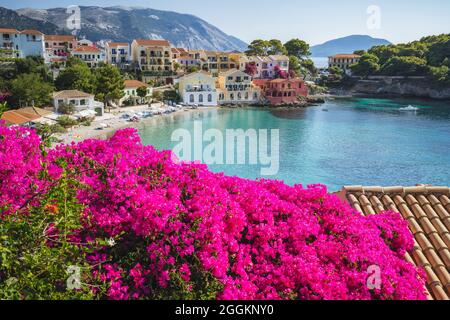 Assos sur l'île Céphalonie Kefalonia Ionienne en Grèce, fleur rose vif en premier plan, Banque D'Images