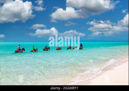 Groupe de cavaliers dans l'eau. Providenciales. Îles Turques et Caïques. Banque D'Images