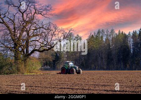 Agriculteur avec tracteur travaillant dans un champ, haute-Bavière, Bavière, Allemagne, Europe Banque D'Images