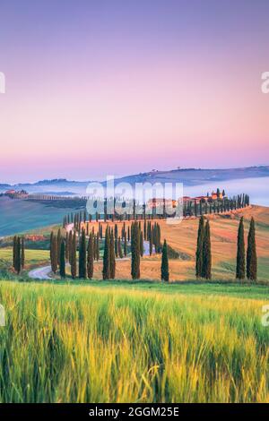 Baccoleno Farmhouse près d'Asciano, Crete Senesi, province de Sienne, Toscane, Italie, Europe Banque D'Images