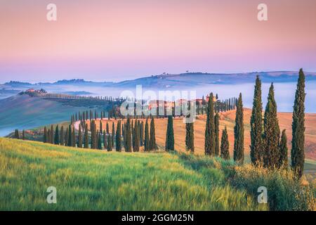 Baccoleno Farmhouse près d'Asciano, Crete Senesi, province de Sienne, Toscane, Italie, Europe Banque D'Images