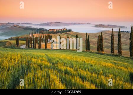 Baccoleno Farmhouse près d'Asciano, Crete Senesi, province de Sienne, Toscane, Italie, Europe Banque D'Images