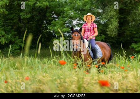 Jeune femme avec cheval dans la prairie, Remstal, Bade-Wurtemberg, Allemagne Banque D'Images