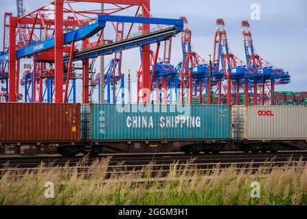 Hambourg, Allemagne - Chine expédition de conteneurs maritimes sur des trains de marchandises dans le port de Hambourg devant des grues portuaires au terminal de conteneurs Eurogate. Transport et manutention combinés. Le port de Hambourg est le point final de la route maritime de la soie vers la Chine. Des conteneurs maritimes provenant de navires-conteneurs d'Asie sont chargés sur des trains ici. Banque D'Images