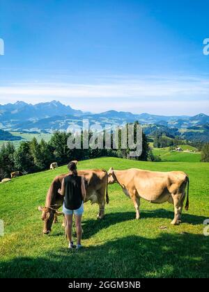 Femme, Gäbris, Gais, montagnes, vache, Gais AR, Alpes, Appenzell, Suisse Banque D'Images