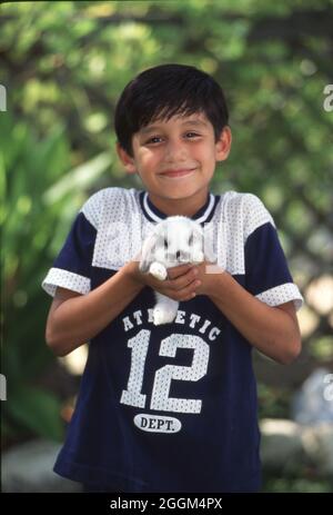 Austin Texas USA,1995: Fille hispanique de 9 ans tient doucement son lapin de lapin d'animal de compagnie dans l'arrière-cour de sa famille. M. EC-0089 ©Bob Daemmrich Banque D'Images