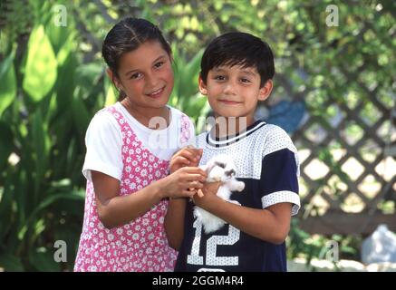 Austin Texas USA,1995: Fille hispanique de 9 ans et son frère de 7 ans tiennent doucement leur lapin d'animal de compagnie dans l'arrière-cour de leur famille. M. EC-0089 ©Bob Daemmrich Banque D'Images