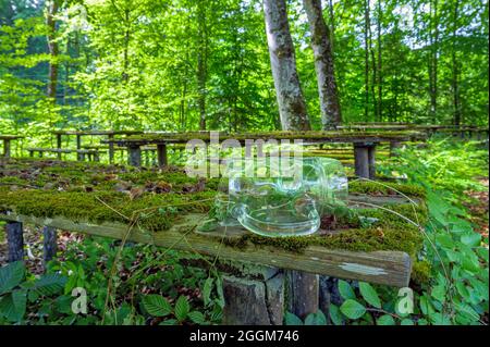 Place perdue, jardin de bière surcultivé avec des sièges couverts de mousse, Gasthof Obermuehltal, Bavière, Allemagne, Europe Banque D'Images