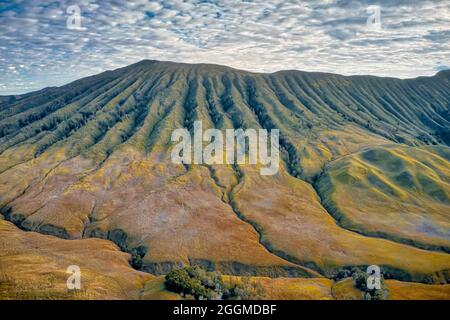 L'une des meilleures choses de Teletobbies Savanna est qu'il est situé près de Bromo Mountain. Le massif est l'un des sites touristiques les plus visités Banque D'Images