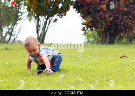 Bébé jouant seul sur l'herbe d'un parc entouré par la nature. Banque D'Images