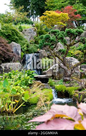 La cascade de RHS Wisley, au milieu de l'été. Banque D'Images