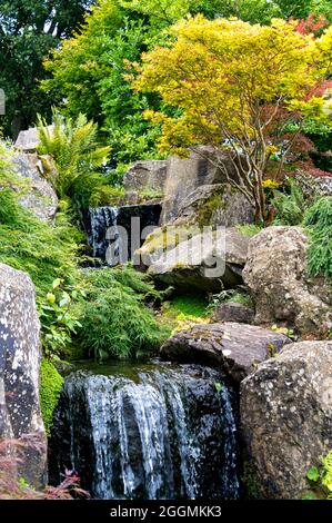 La cascade de RHS Wisley, au milieu de l'été. Banque D'Images