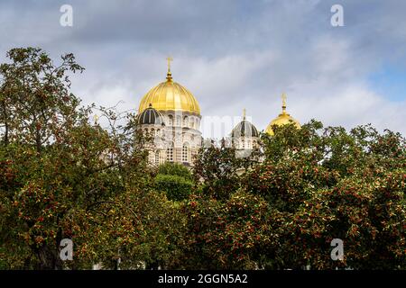 Riga, Lettonie. Août 2021. Les dômes de la Nativité de Riga du Christ Cathédrale orthodoxe parmi les arbres d'un parc dans le centre-ville Banque D'Images