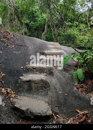 Marches faites de pierres dans la jungle. Sentier de randonnée pour les touristes. Banque D'Images