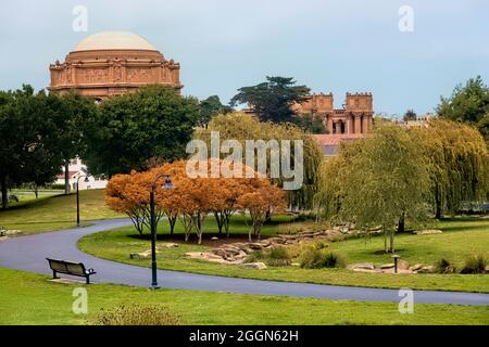 Parc verdoyant près du Palais des Beaux-Arts, Presidio, San Francisco, Californie, U.S.A Banque D'Images