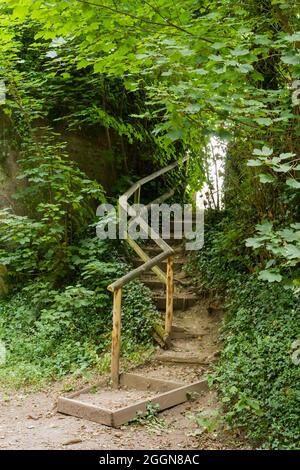 Vieux marches rustiques menant à travers la forêt, Spetisbury, Dorset, Angleterre Banque D'Images