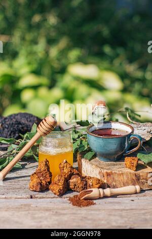 Thé de chaga - un antioxydant fort, stimule le système immunitaire. Sain pur naturel. Champignon de chaga sauvage, préparation de thé, café et remède à base de plantes Banque D'Images