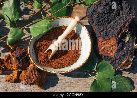 Thé de chaga - un antioxydant fort, stimule le système immunitaire. Sain pur naturel. Champignon de chaga sauvage, préparation de thé, café et remède à base de plantes Banque D'Images