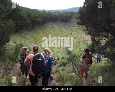 MONT KILIMANJARO, TANZANIE - 21 septembre 2016 : les touristes grimpent au Mont Kilimanjaro en Tanzanie avec des guides touristiques locaux. Photos de voyage de personnes randonnée Kiliman Banque D'Images