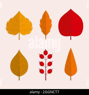 Collection de feuilles d'automne plates illustration vectorielle. Illustration de Vecteur