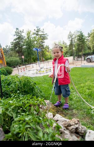 La petite fille arrose les plants de tomates et de poivrons dans leur jardin avec un tuyau de jardin. Sélectif Focus. Banque D'Images