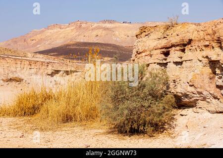 Formations géologiques à Ramon Crater. Le désert du Néguev. Israël Banque D'Images