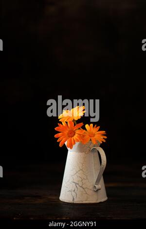 Bouquet de calendula dans un petit vase sur fond noir. Banque D'Images