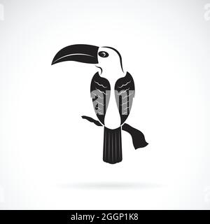 Vecteur de motif oiseau toucan sur fond blanc. Animaux sauvages. Illustration vectorielle superposée facile à modifier. Illustration de Vecteur