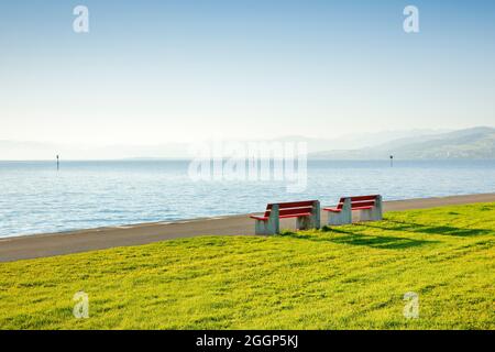 Zwei Sitzbänke am Ufer des Bodensees BEI Arbon im Thurgau, Suisse Banque D'Images