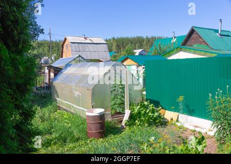 Toits de maisons en bois et serres dans le village sur fond de ciel bleu et de feuillage vert. Chaud ensoleillé jour d'été. Plan moyen Banque D'Images