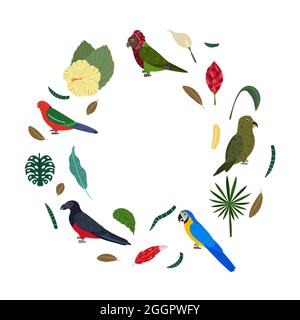 Modèle avec perroquets en cercle pour un imprimé enfant. Composition ronde d'oiseaux tropicaux macaw, kea, fan rouge, éclectique. Ensemble vectoriel de la vie de la jungle dans le style de dessin animé. Illustration de Vecteur