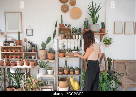 Arrière de femme asiatique touchant l'usine de cactus sur étagère en bois simplicité décoration en serre à la boutique d'arbres Banque D'Images