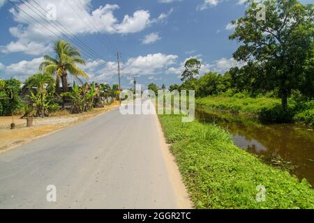 Canal d'eau entre les anciennes plantations du Suriname Banque D'Images