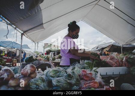 Une vendor de légumes femelle avec un masque le jour du marché. Belmopan, Belize. Banque D'Images